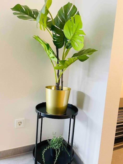 Luxury New Flat W Terrace & Parking * Luxemburg